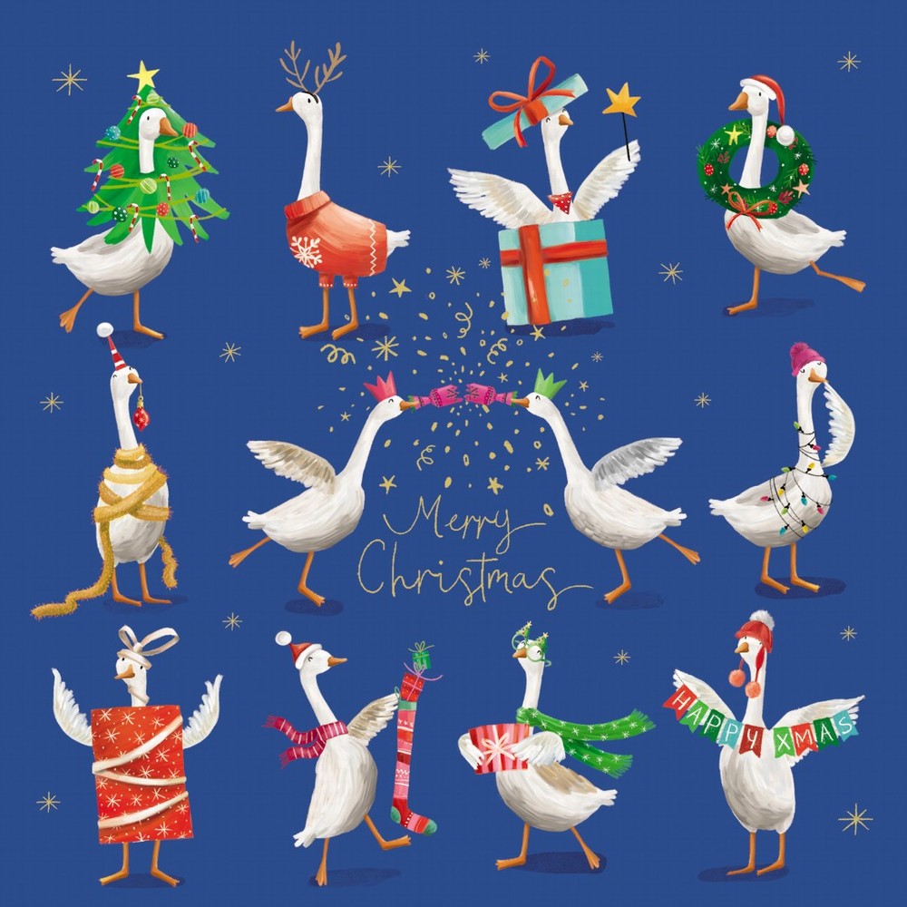 Pack of 6 Charity Christmas Cards - Party Geese