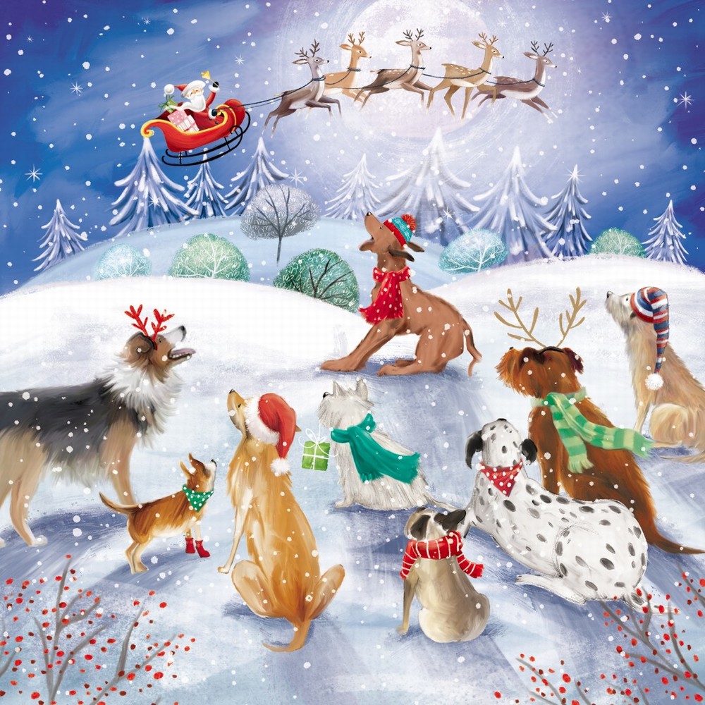 Pack of 6 Charity Christmas Cards - He's on His Way