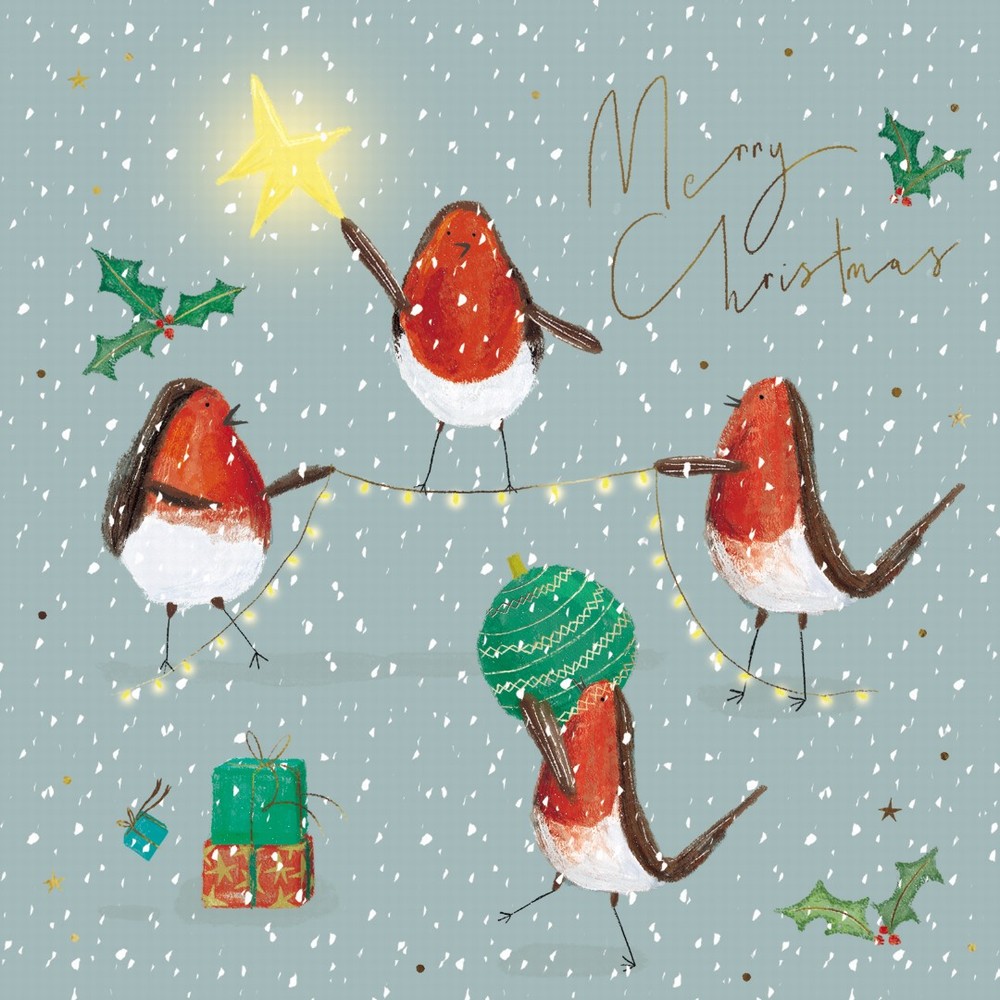 Pack of 6 Charity Christmas Cards - Robins