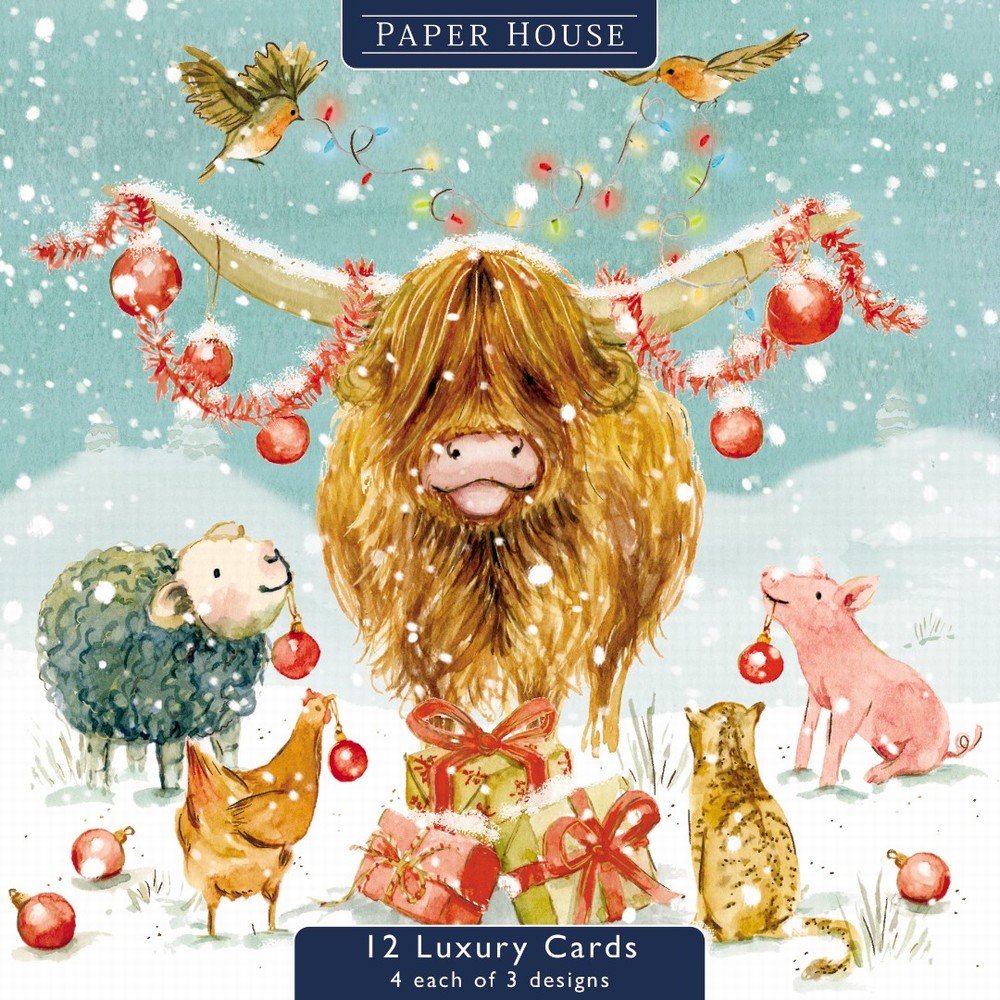 Box of 12 Deluxe Christmas Cards 3 Designs - Farmyard Capers