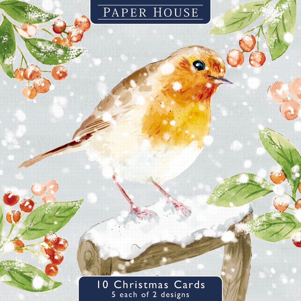 Box of 10 Christmas Cards 2 Designs - Christmas Robins
